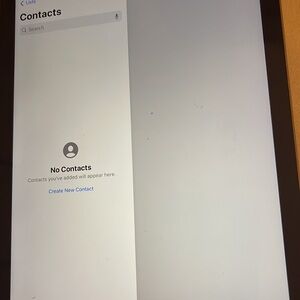 Apple IPad 6th gen